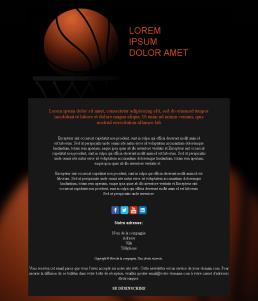 Basketball-medium-02 (FR)